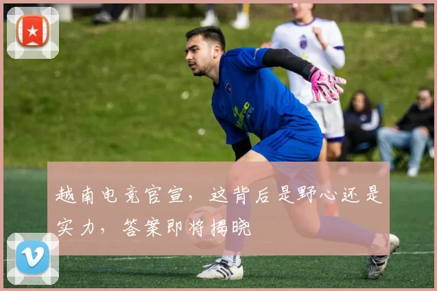 越南电竞官宣，这背后是野心还是实力，答案即将揭晓
